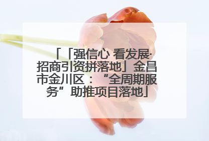 「强信心 看发展·招商引资拼落地」金昌市金川区：“全周期服务”助推项目落地