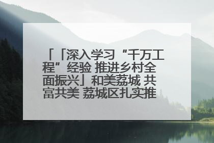 「深入学习“千万工程”经验 推进乡村全面振兴」和美荔城 共富共美 荔城区扎实推进乡村振兴工作