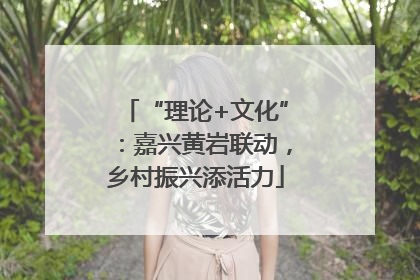 “理论+文化”：嘉兴黄岩联动，乡村振兴添活力