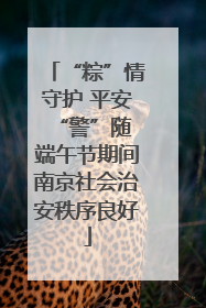 “粽”情守护 平安“警”随 端午节期间南京社会治安秩序良好
