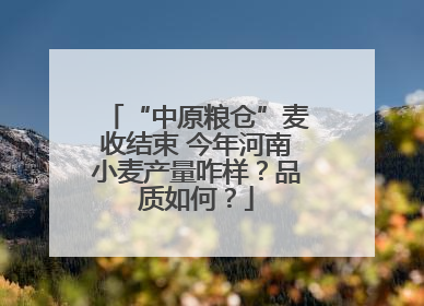 “中原粮仓”麦收结束 今年河南小麦产量咋样？品质如何？