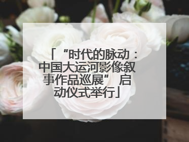 “时代的脉动：中国大运河影像叙事作品巡展” 启动仪式举行