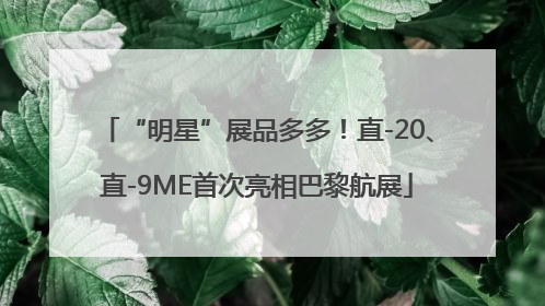 “明星”展品多多！直-20、直-9ME首次亮相巴黎航展