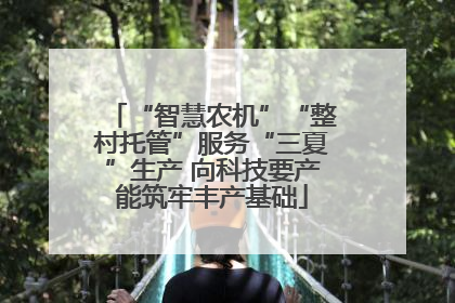 “智慧农机”“整村托管”服务“三夏”生产 向科技要产能筑牢丰产基础
