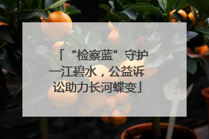 “检察蓝”守护一江碧水，公益诉讼助力长河蝶变
