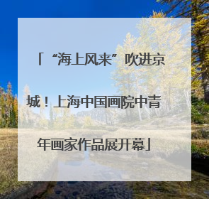 “海上风来”吹进京城！上海中国画院中青年画家作品展开幕