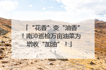 “花香”变“油香”！南漳巡检万亩油菜为增收“加油”！