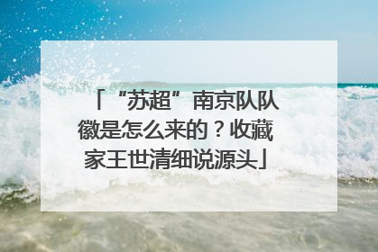 “苏超”南京队队徽是怎么来的？收藏家王世清细说源头