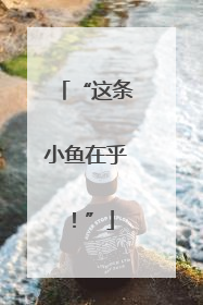 “这条小鱼在乎！”