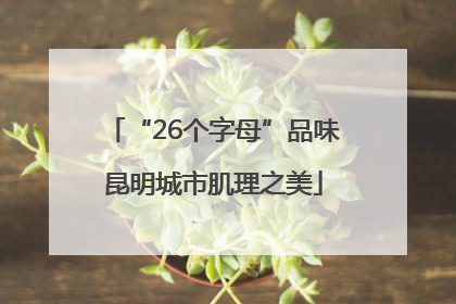 “26个字母”品味昆明城市肌理之美