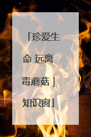 珍爱生命 远离毒蘑菇｜知识窗