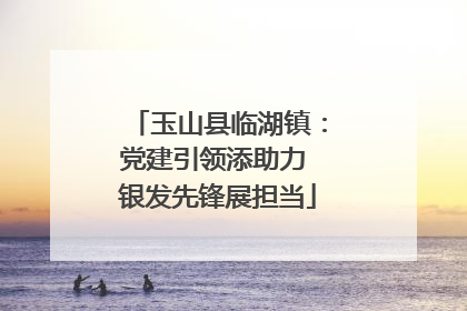 玉山县临湖镇：党建引领添助力 银发先锋展担当