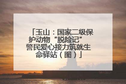 玉山：国家二级保护动物“脱险记” 警民爱心接力筑就生命驿站（图）