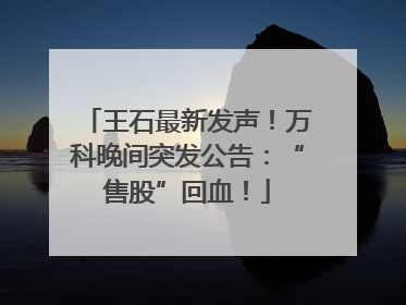 王石最新发声！万科晚间突发公告：“售股”回血！