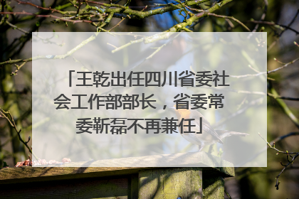 王乾出任四川省委社会工作部部长，省委常委靳磊不再兼任