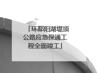 环鄱阳湖堤顶公路应急保通工程全面竣工
