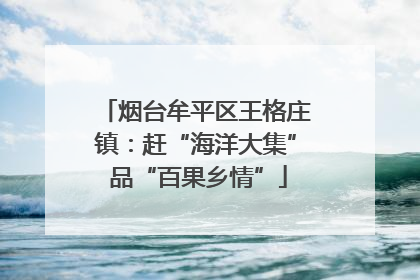 烟台牟平区王格庄镇：赶“海洋大集” 品“百果乡情”