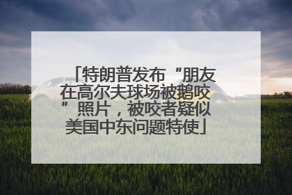 特朗普发布“朋友在高尔夫球场被鹅咬”照片，被咬者疑似美国中东问题特使