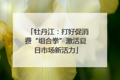 牡丹江：打好促消费“组合拳”激活夏日市场新活力