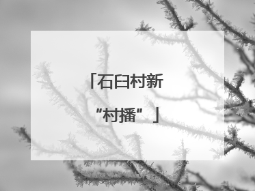 石臼村新“村播”