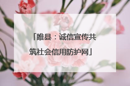 睢县：诚信宣传共筑社会信用防护网