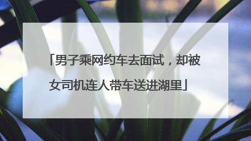 男子乘网约车去面试，却被女司机连人带车送进湖里
