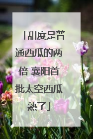 甜度是普通西瓜的两倍 襄阳首批太空西瓜熟了