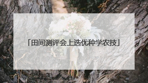 田间测评会上选优种学农技