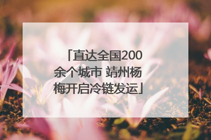 直达全国200余个城市 靖州杨梅开启冷链发运