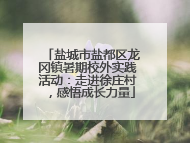 盐城市盐都区龙冈镇暑期校外实践活动：走进徐庄村，感悟成长力量