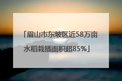 眉山市东坡区近58万亩水稻栽插面积超85%