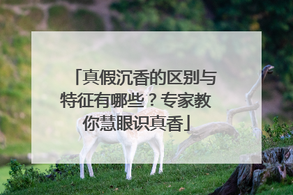 真假沉香的区别与特征有哪些？专家教你慧眼识真香