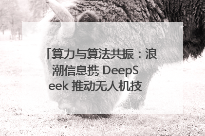 算力与算法共振：浪潮信息携 DeepSeek 推动无人机技术在舟山落地