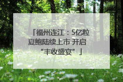 福州连江：5亿粒夏鲍陆续上市 开启“丰收盛宴”
