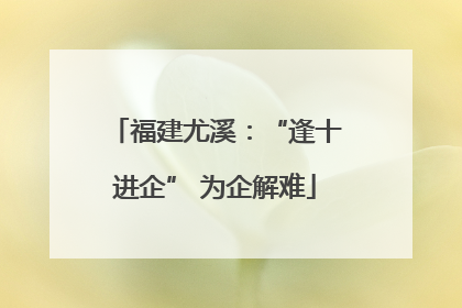 福建尤溪：“逢十进企” 为企解难