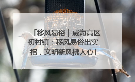 移风易俗｜威海高区初村镇：移风易俗出实招，文明新风拂人心