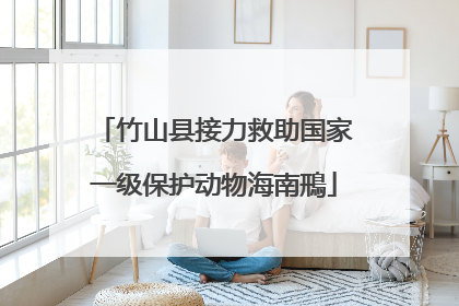 竹山县接力救助国家一级保护动物海南鳽