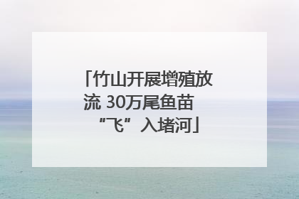 竹山开展增殖放流 30万尾鱼苗“飞”入堵河