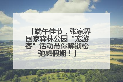 端午佳节，张家界国家森林公园“宠游客”活动带你解锁松弛感假期！