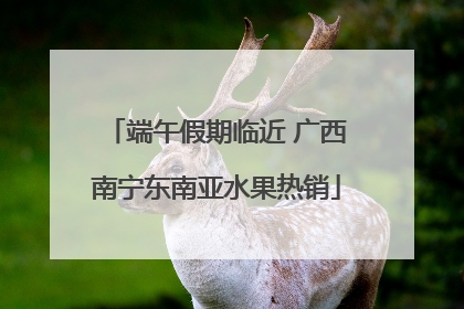 端午假期临近 广西南宁东南亚水果热销