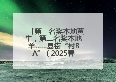 第一名奖本地黄牛，第二名奖本地羊……县街“村BA”（2025春季赛）圆满完赛