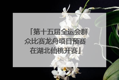 第十五届全运会群众比赛龙舟项目预赛在湖北仙桃开赛