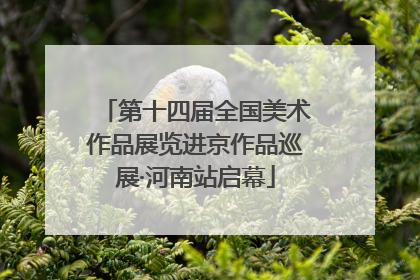 第十四届全国美术作品展览进京作品巡展·河南站启幕