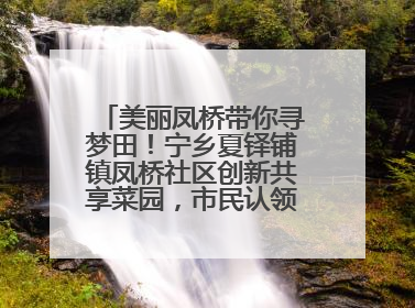 美丽凤桥带你寻梦田！宁乡夏铎铺镇凤桥社区创新共享菜园，市民认领菜土，体验耕种收获乐趣