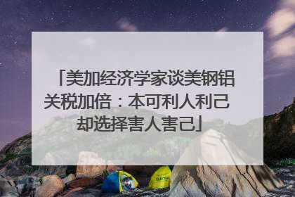 美加经济学家谈美钢铝关税加倍：本可利人利己 却选择害人害己