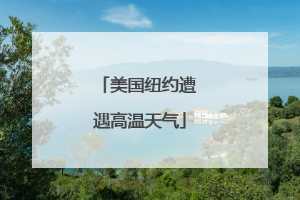 美国纽约遭遇高温天气
