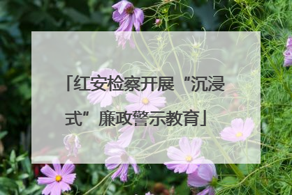 红安检察开展“沉浸式”廉政警示教育