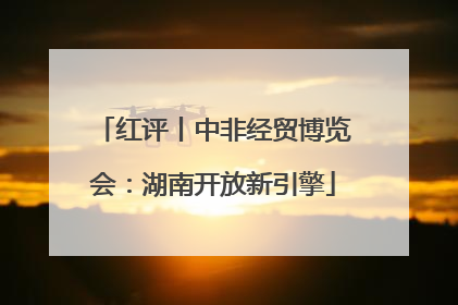 红评丨中非经贸博览会：湖南开放新引擎