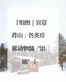 组图｜宜章莽山：各类珍稀动物频“出镜”