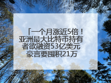 一个月涨近5倍！亚洲最大比特币持有者欲融资53亿美元 豪言要囤积21万枚比特币